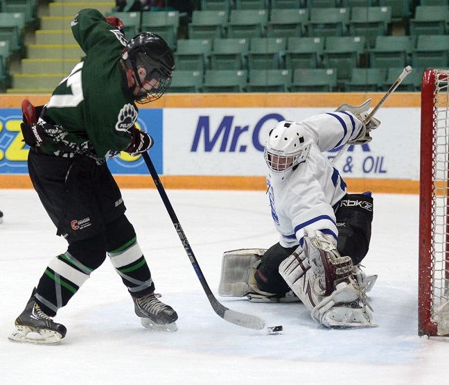 SPORT-spirit-hockey.jpg