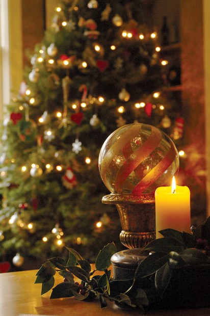 A gardener’s take on Christmas traditions