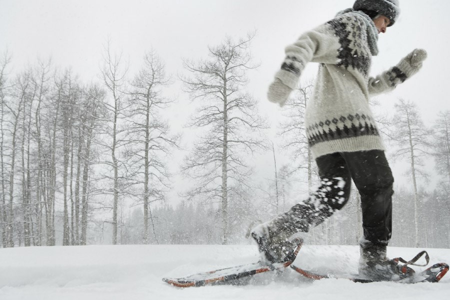 Snowshoe