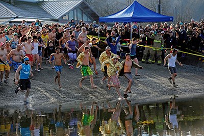 Penguin Plunge
