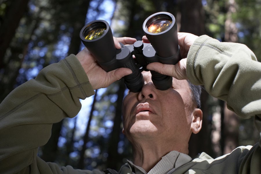 Bird watching