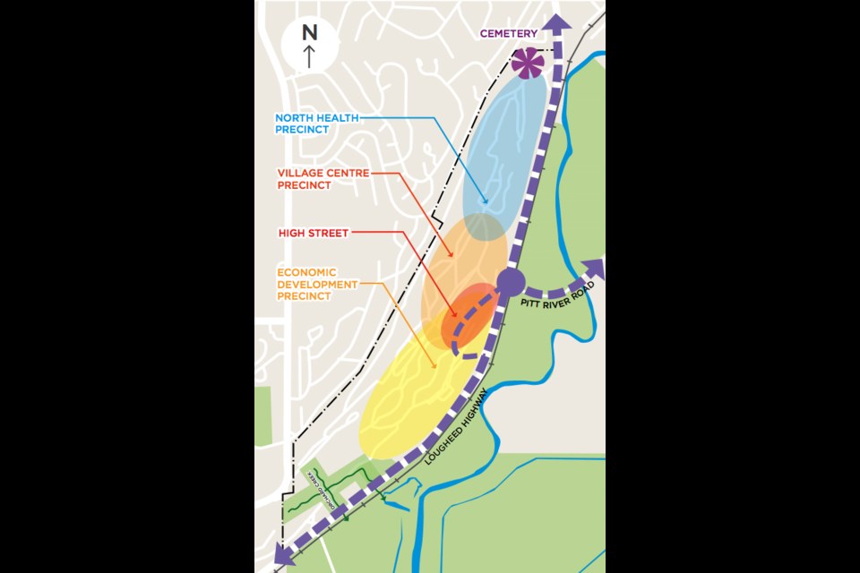 A high-level map of the precincts proposed for the Riverview Hospital lands in Coquitlam. The map was presented as part of the visioning document unveiled last month by BC Housing.