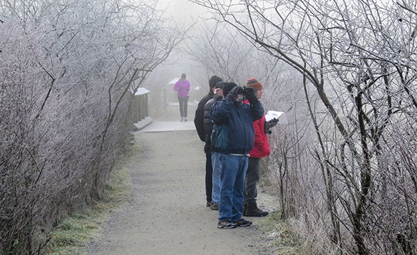 Volunteers with the Burke Mountain Naturalists participate in the annual Christmas bird count in the Tri-Cities.