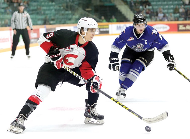 Cougars hockey