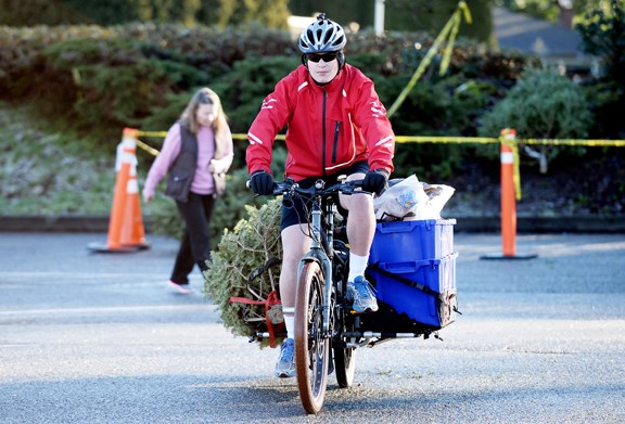 Special delivery: Shane Griffin drops off a Christmas tree via bicycle. He was one of many residents who brought their Christmas trees to the New Westminster Firefighters’ Charitable Society’s annual tree-chipping event at the Canada Games Pool parking lot on the weekend.