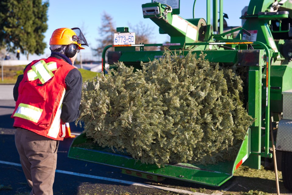 Kirk Spouage of Royal Woood Tree Care mans the chipper at the annual Christmas tree chipping event at the South Delta Rec Centre. The Lions clubs of Tsawwassen-Boundary Bay and Ladner provided local residents with a chance to recycle their Christmas trees last weekend. Tree chipping events were held Jan. 9-10 at the South Delta Recreation Centre in Tsawwassen and Memorial Park in Ladner.