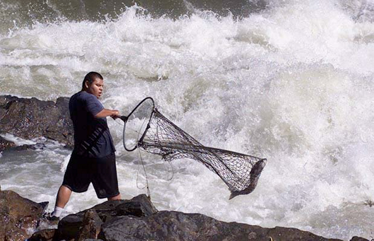 Study predicts big drop in native fishery due to climate change