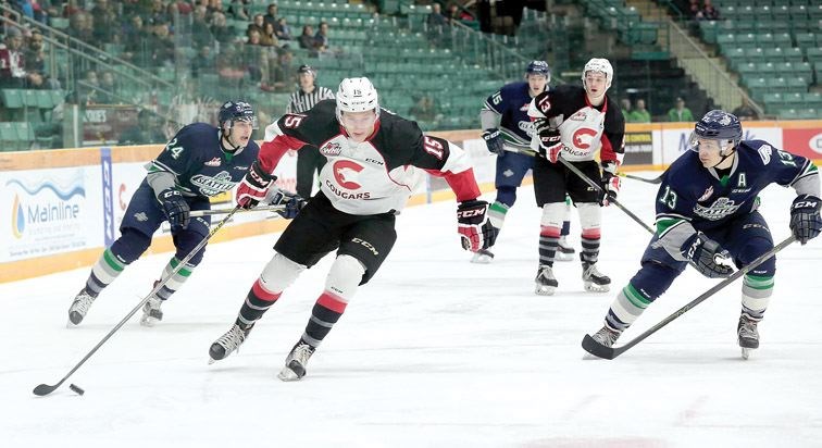 Sports-Cougars.14.jpg