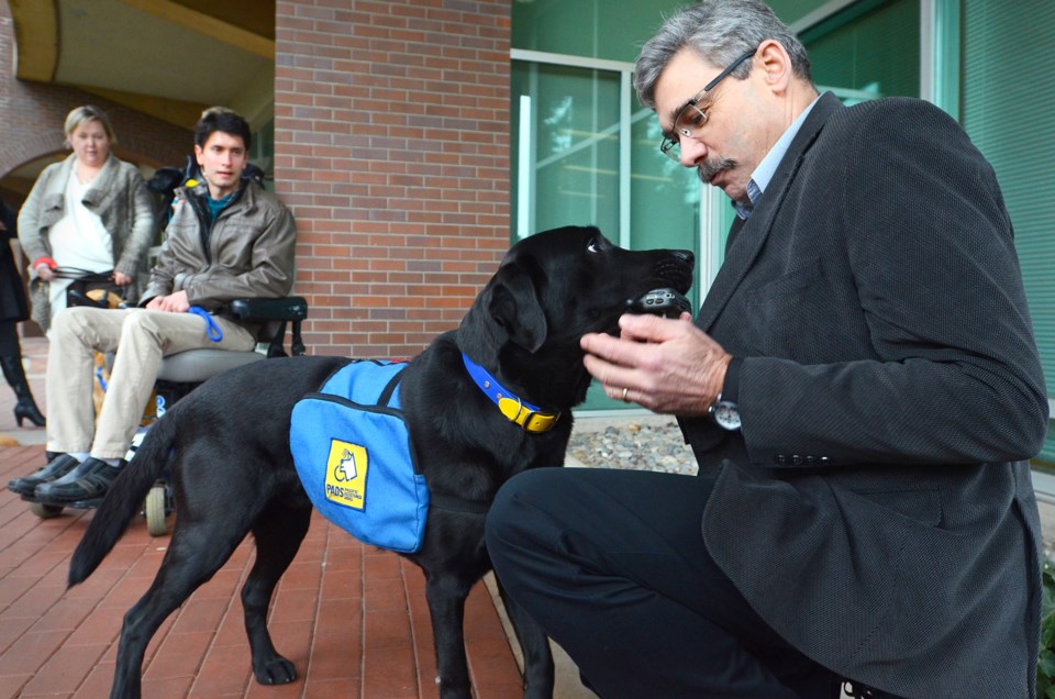 Justice Institute, service dogs, Mike Morris
