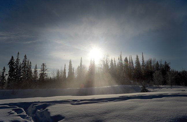 The sun braks through the fog on University Way Monday morning. Citizen photo by Brent Braaten Jan 18 2016