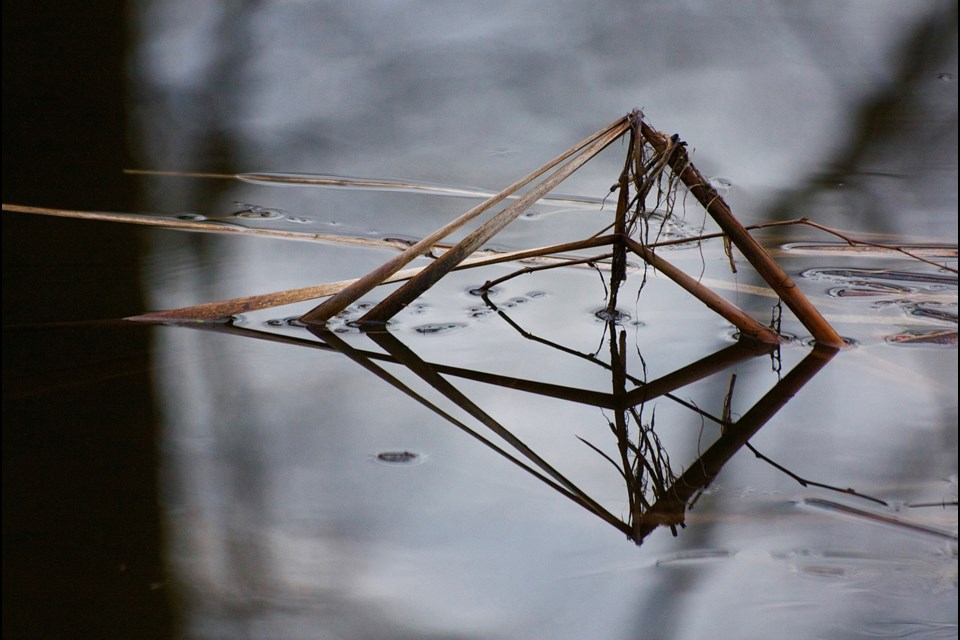 Photography by Julie Prescott is on display at the Water Shed Arts Café in Langley for the month of February.
