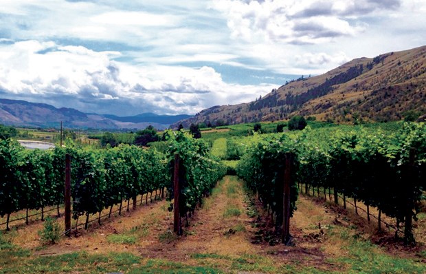 winery