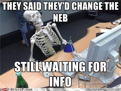 skeleton NEB