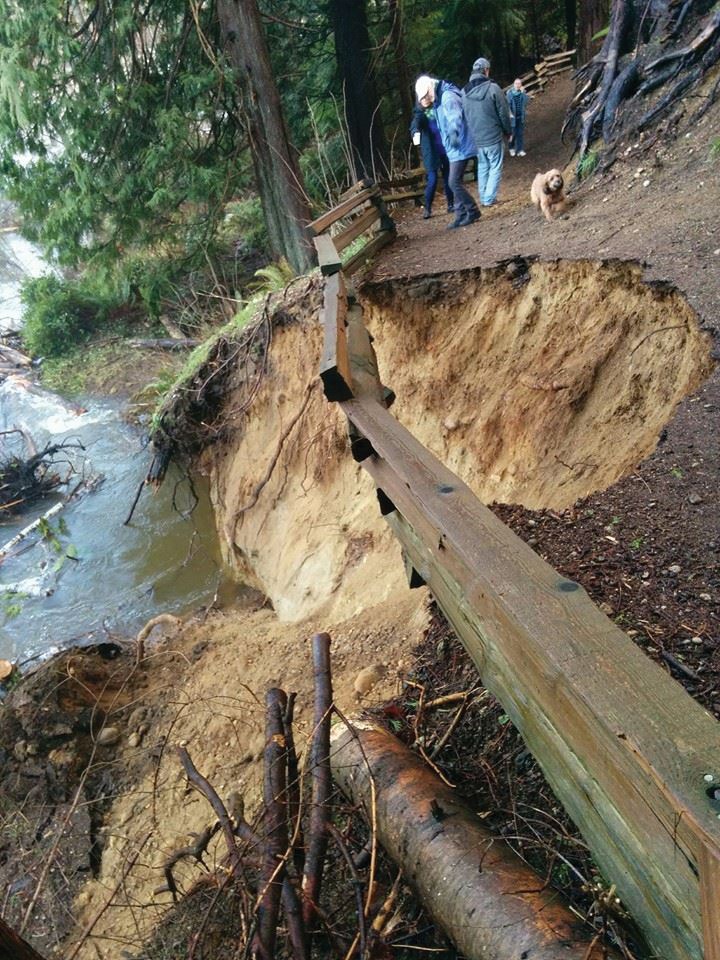 flood