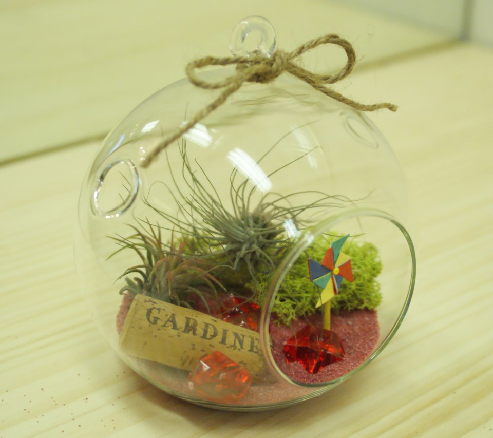 AGCTK 0204_4