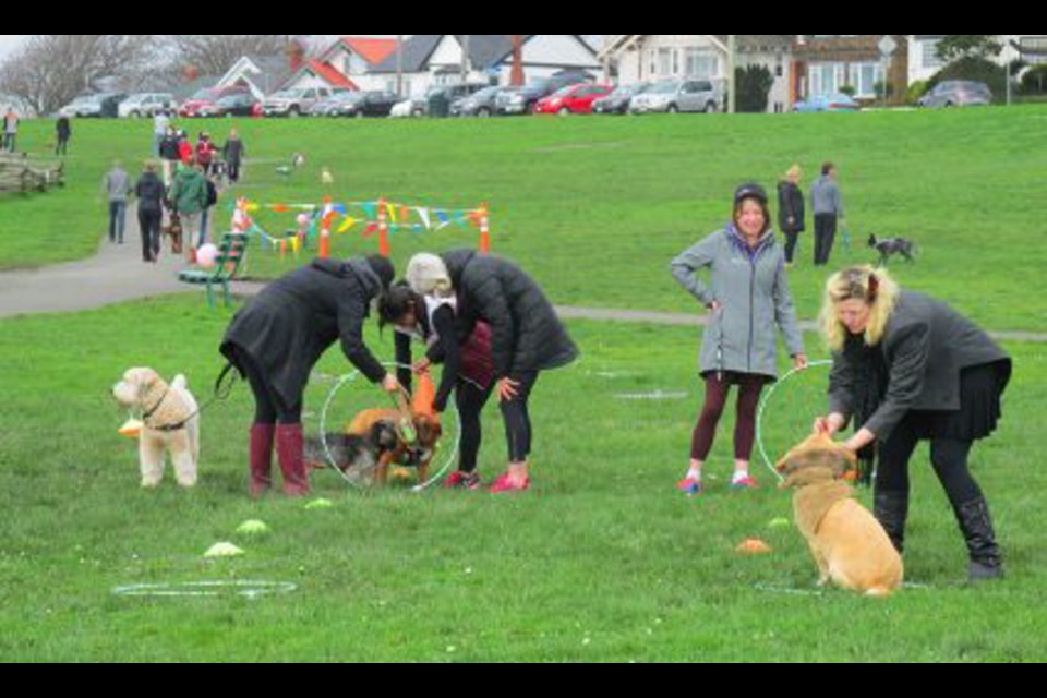 A few of the participants at last year's Valentine's Dog Party at the off-leash area above Clover Point. This year's event takes place next Sunday.