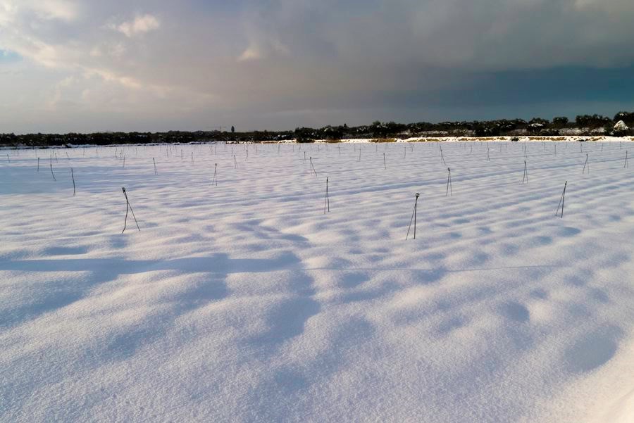 snowpack-update.10.jpg