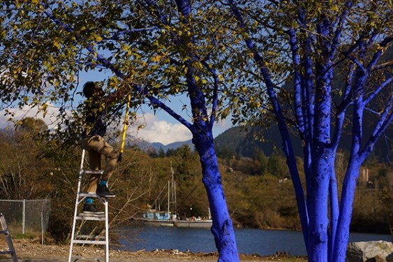 blue
