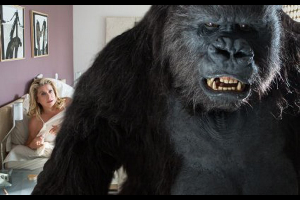Catherine Deneuve stars with a gorilla in the Belgian theological comedy The Brand New Testament, named best feature film at the close of the 22nd annual Victoria Film Festival on Sunday.