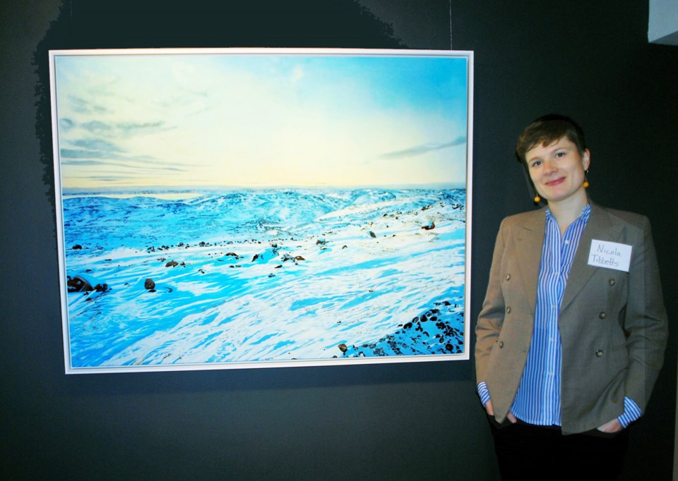 Nicola Tibbetts, Arctic Sojourn