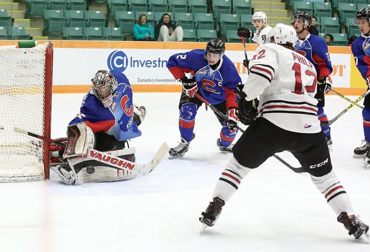 SPORT-CatsRebels.20.jpg