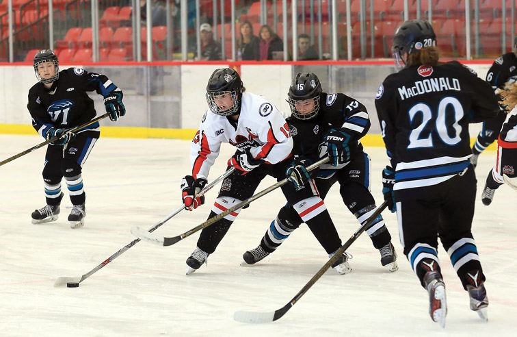 SPORT-northern-cougars.jpg