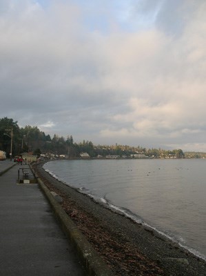 Seaside serenity: Once the island's main traffic corridor, the Oceanside Route is now mostly used by locals travelling to and from the towns and villages that snuggle along the coastline at the edge of the forest.