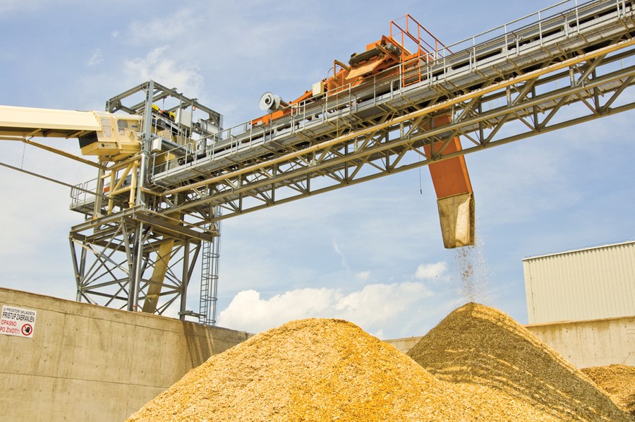 biomass