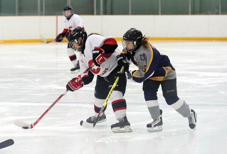 Prince George Bantam Female Cougars Camryn Scully puts a shot on net while being checked by Williams Lake Timberwolves Gabrielle Pierce on Saturday at Kin 3. The Cougars and Timberwolves were playing the second game of the Cariboo Amateur Hockey Association Female Bantam AAA playdowns. The Timberwolves went on to win the game by a score of 2-1. Citizen Photo by James Doyle February 27, 2016