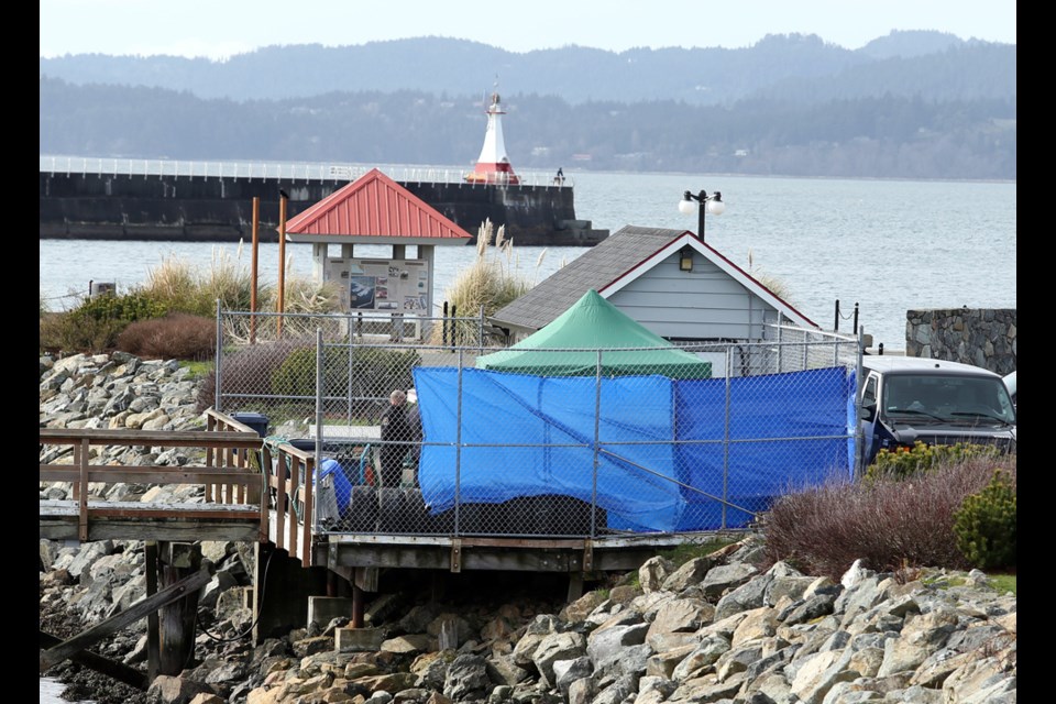 Victoria police were at the scene of a body recovered at Ogden Point. Tarps were set up at the Victoria Pilot boat station as the investigation/recovery proceeded.Photograph by BRUCE STOTESBURY/TIMES COLONIST.