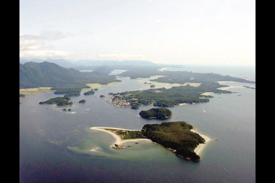 Clayoquot Island, foreground, was home to a small village in the early 20th century. Its old-growth forest has been protected since 1990.