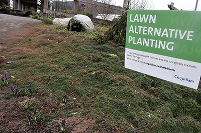 chafer sign