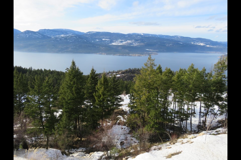 One of the sweeping views from Sparkling Hill Resort. Photo Sandra Thomas
