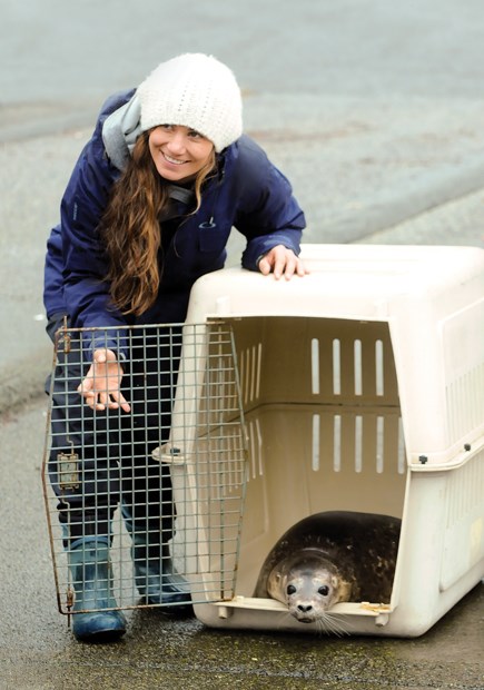 seal release