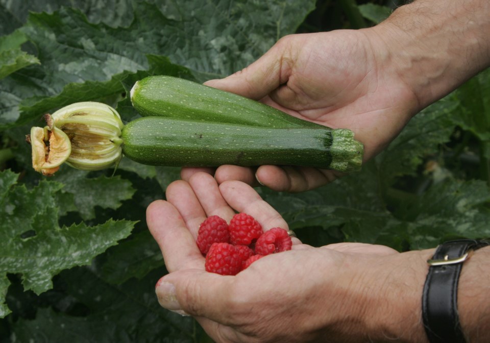 Community garden