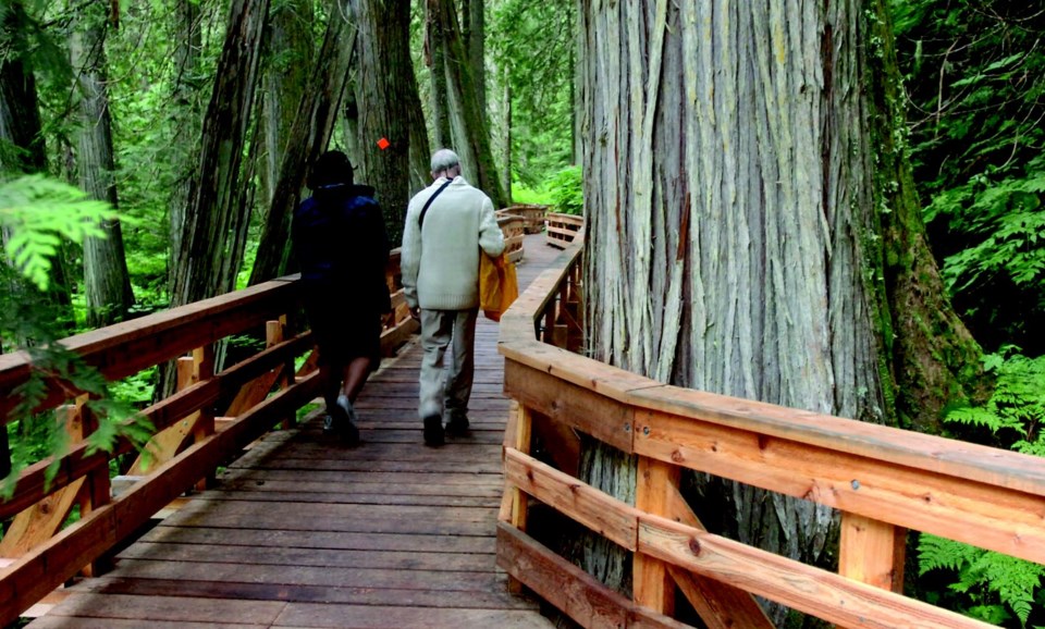 Ancient-forest-legislation..jpg