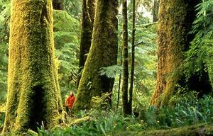 Show reveals secrets of Clayoquot Sound