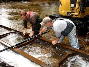 Dinner supports Pacific salmon