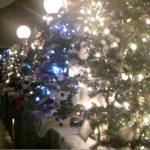 Festival of Trees 2011