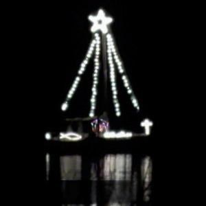 Parade of Lights 2011