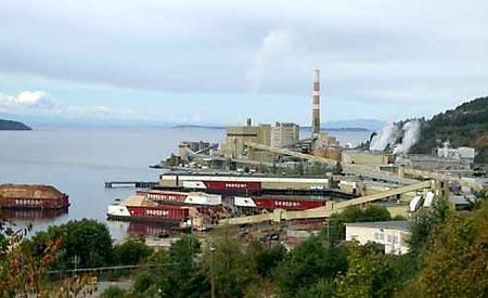 Mill shuts down after effluent leak