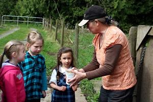 A glimpse at farming life