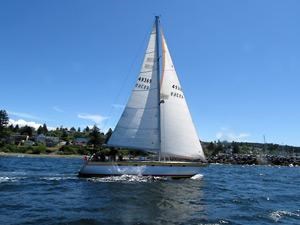 Club invites one and all to sail