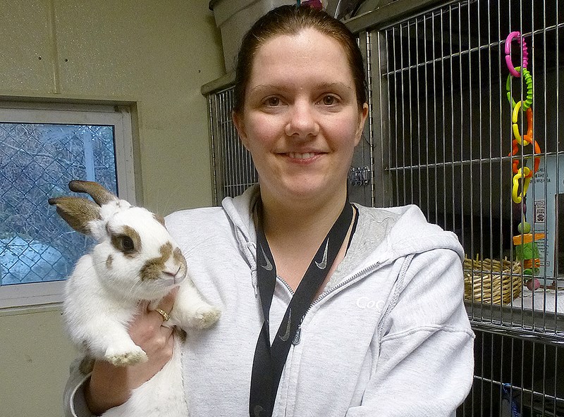 Rabbit care