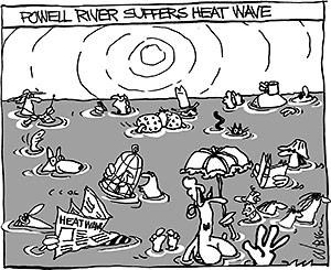 Editorial Cartoon: July 3, 2013