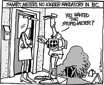 Editorial Cartoon: July 17, 2013