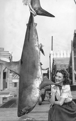 A 242-pound mackeral shark caught by North Vancouver fisher James Hargrove off Point Grey, September, 1944.