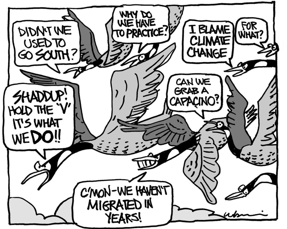 Editorial Cartoon: October 8, 2014