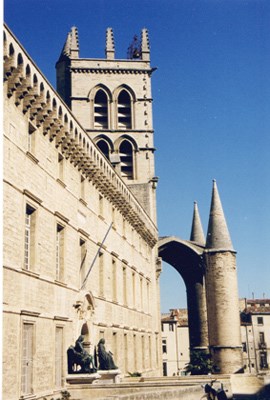 Cathédrale Saint-Pierre de Montpellier dates from the 14th century.