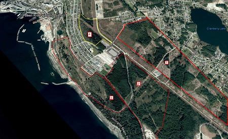 Island Timberlands discloses its logging plans